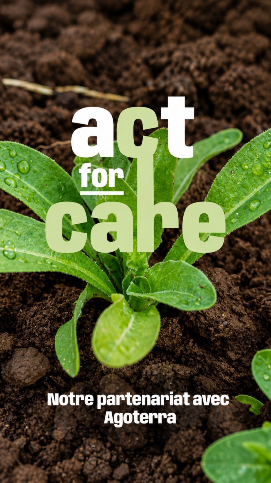 Image à la une de l'article Faire vivre Pierre Fabre corporate sur les réseaux